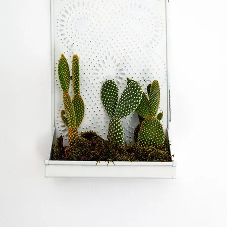 아파트 Casa San Marco 포르데노네